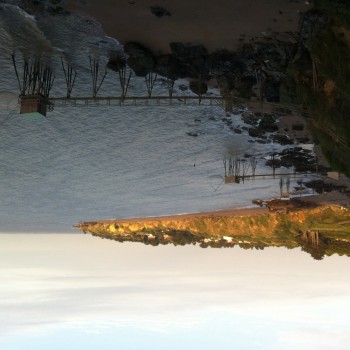 Lilianne - Wiedlisbach - Berne | Annonce Rencontre