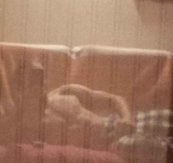 Bangaly - Kallern - Argovie | Annonce Rencontre