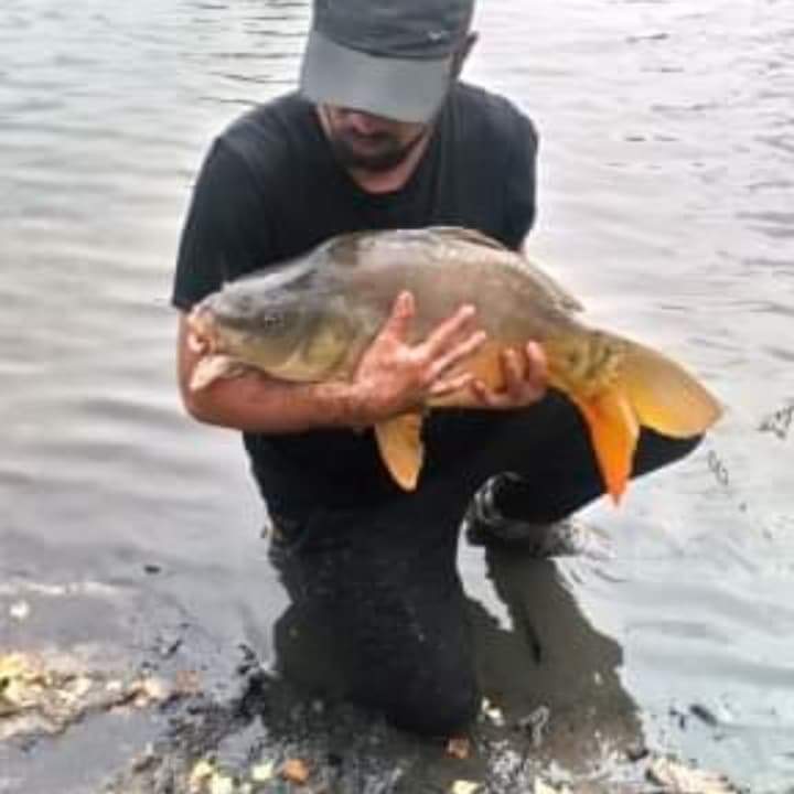 Ziggy - Cortébert - Berne | Annonce Rencontre