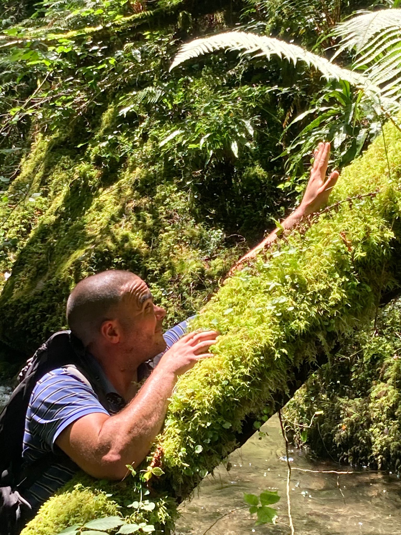 Hernan - Penthéréaz - Vaud | Annonce Rencontre