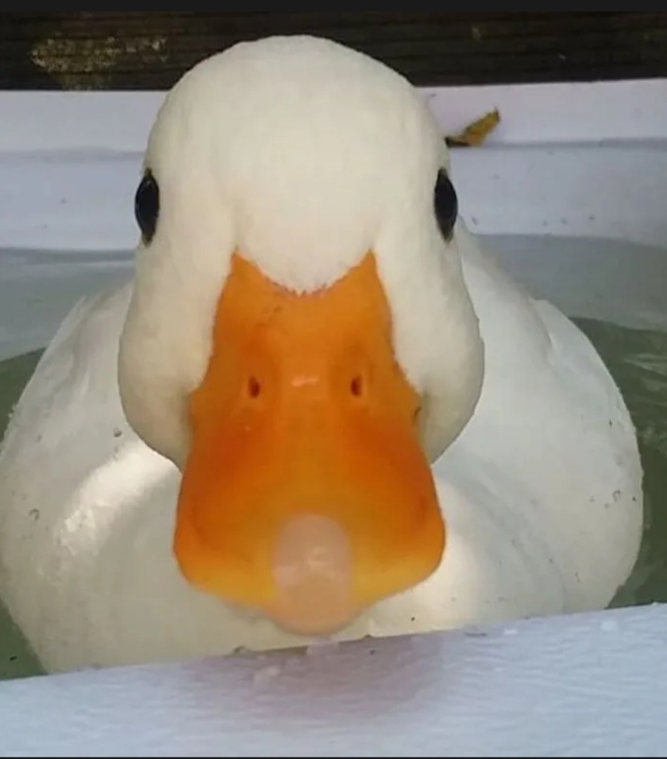 Eliard - Vernayaz - Valais | Annonce Rencontre