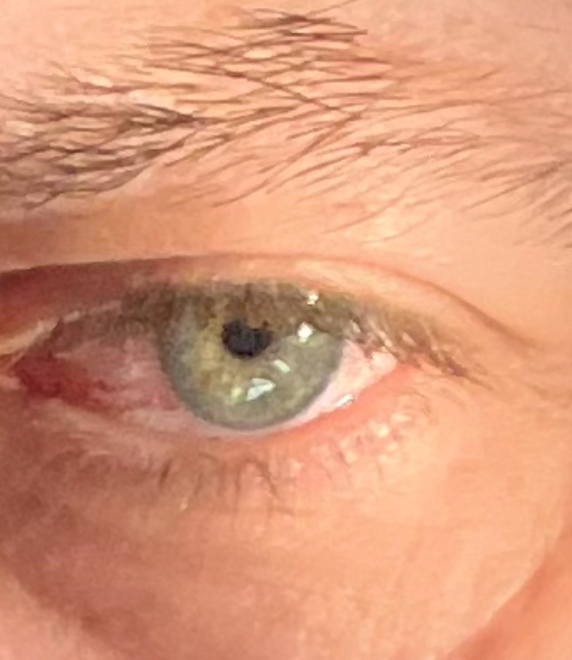 Vanni - Mulegns - Grisons | Annonce Rencontre