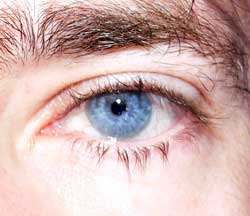 Fathy - Turtmann - Valais | Annonce Rencontre